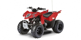 2018 Textron Off Road Alterra 90 DVX