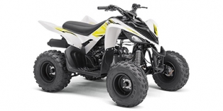 2018 Yamaha Raptor 90