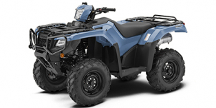 2019 Honda FourTrax Foreman® Rubicon 4x4 EPS