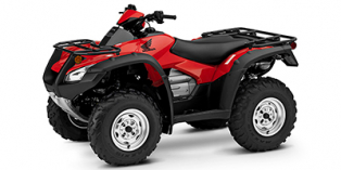 2020 Honda FourTrax Rincon® 