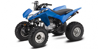 2020 Honda TRX® 250X