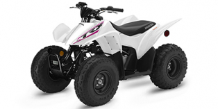 2019 Honda TRX® 90X