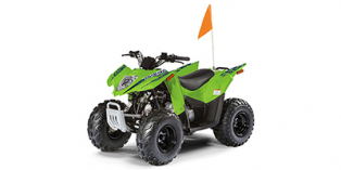 2019 Textron Off Road Alterra 90 DVX