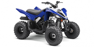 2020 Yamaha Raptor 90