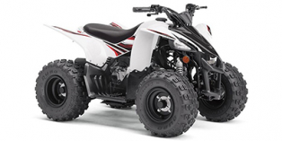 2019 Yamaha YFZ 50