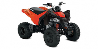 2020 Can-Am DS 250