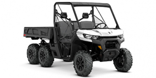 2020 Can-Am Defender 6X6 DPS HD10