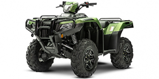 2020 Honda FourTrax Foreman® Rubicon 4x4 Automatic DCT EPS Deluxe