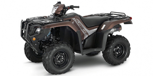 2020 Honda FourTrax Foreman® Rubicon 4x4 EPS