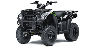 2020 Kawasaki Brute Force® 300