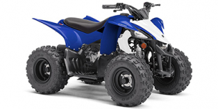 2020 Yamaha YFZ 50