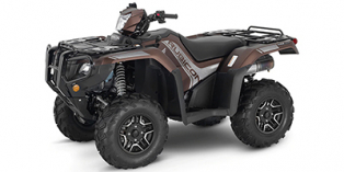 2021 Honda FourTrax Foreman® Rubicon 4x4 Automatic DCT EPS Deluxe