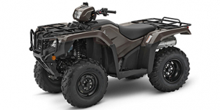 2021 Honda FourTrax Foreman® 4x4 ES EPS