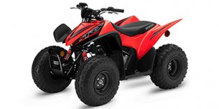 2021 Honda TRX® 90X