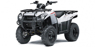 2021 Kawasaki Brute Force® 300